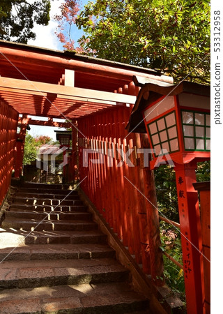 Tamiya Tani Ina Shrine Shimane Prefecture Tsuwano Town Fall Tamiya Tani Ina Shrine Shimane Prefecture Tsuwano Town Fall 53312958