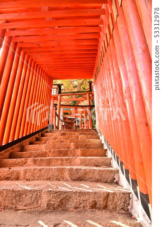 Tamiya Tani Ina Shrine Shimane Prefecture Tsuwano Town Fall 53312978