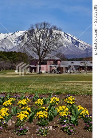 Koiwai農場 Koiwai農場 53315299