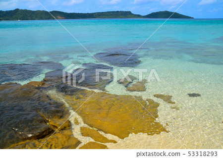 The beach of Iriomote Island 53318293