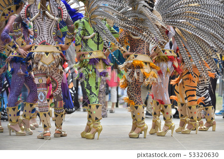 Samba服裝 53320630