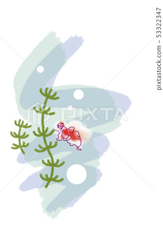 金魚夏天問候模板 金魚夏天問候模板 53322347