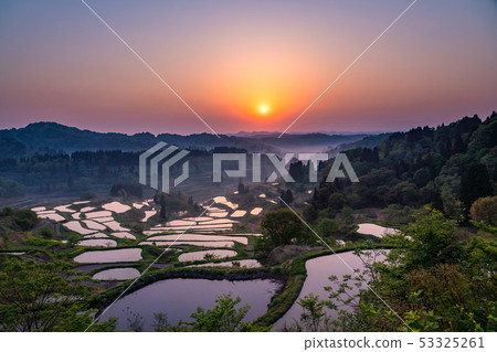 《Niigata Prefecture》 Terraced rice fields and natural scenery of Hoshitoge 53325261