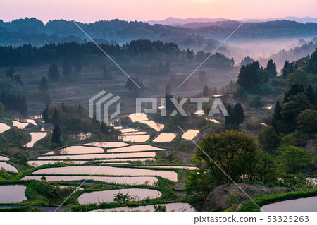 《Niigata Prefecture》 Terraced rice fields and natural scenery of Hoshitoge 53325263
