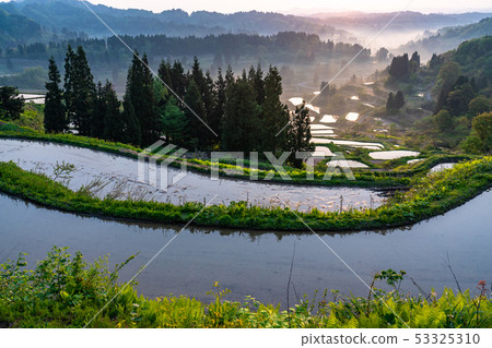 《Niigata Prefecture》 Terraced rice fields and natural scenery of Hoshitoge 53325310