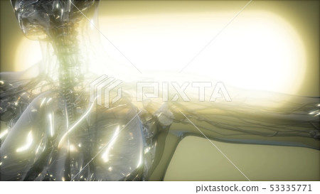 X-Ray Image Of Human Body 53335771