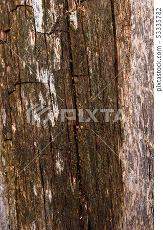 Moss and mold affect a wooden planks. Moss and mold affect a wooden planks. 53335782