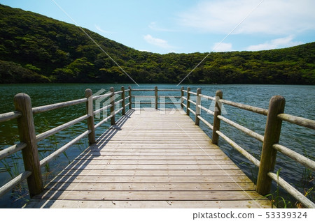 Oji Pond Tree Path Oji Pond Tree Path 53339324