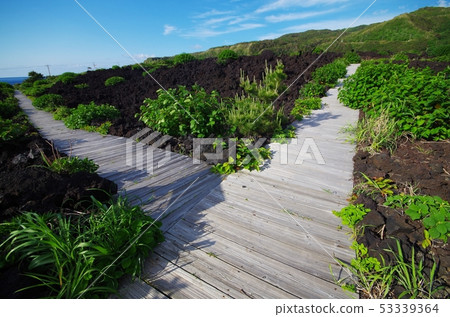 Volcano Experience Boardwalk on Miyakejima 53339364