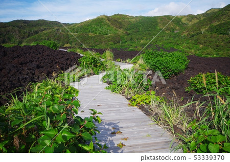 Volcano Experience Boardwalk on Miyakejima Volcano Experience Boardwalk on Miyakejima 53339370