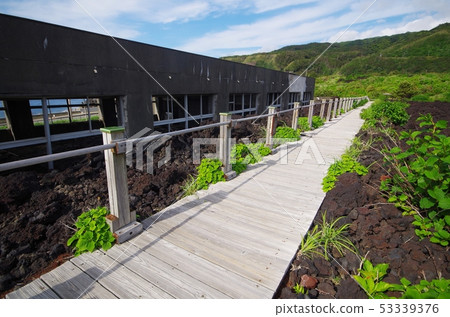 三宅島的木板路和學校痕跡 三宅島的木板路和學校痕跡 53339376