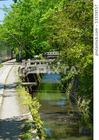 京都哲學之路 53339557