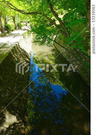 Kyoto philosophy road 53339563