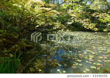 Tennosuke Ikesen巡迴演唱會Nanjo Temple Tower Tennosuke Ikesen巡迴演唱會Nanjo Temple Tower 53340350