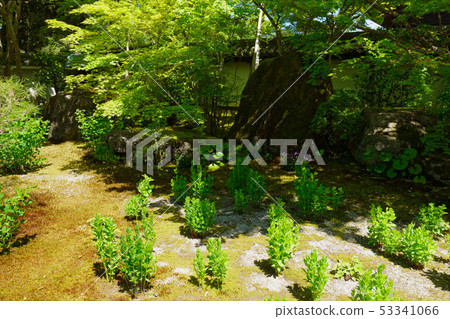 Tianyin Garden Garden Nanzen Temple Tower 53341066