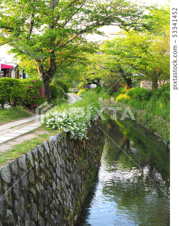 京都東山哲學路 京都東山哲學路 53341452