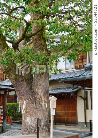 Haruaki Shrine Okamiki (Kyoto) Haruaki Shrine Okamiki (Kyoto) 53344521