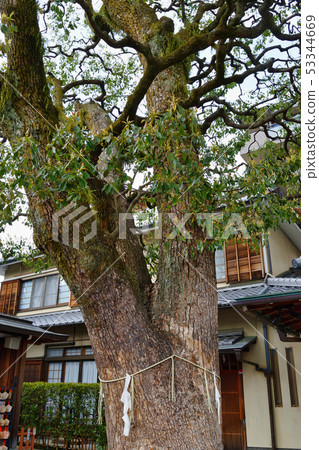 Haruaki Shrine Okamiki (Kyoto) 53344669