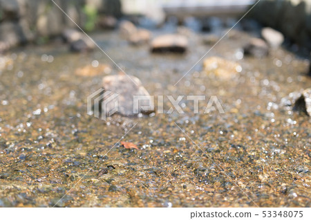A summer resort brook A summer resort brook 53348075