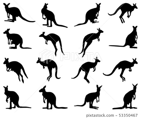 Black silhouettes of kangaroo on a white backgroun 53350467
