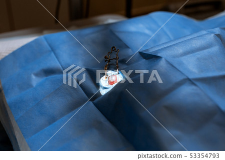 Vet surgeon assistant cover dog with injured eye Vet surgeon assistant cover dog with injured eye 53354793