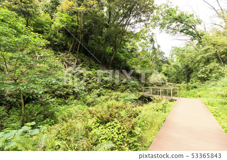 Koami no Mori (early summer) 53365843