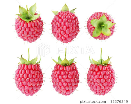 Collection set of fresh ripe raspberries isolated 53376249