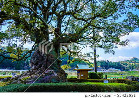 Kawagoi Daigo [Saga Prefecture Takeo City] 53422651