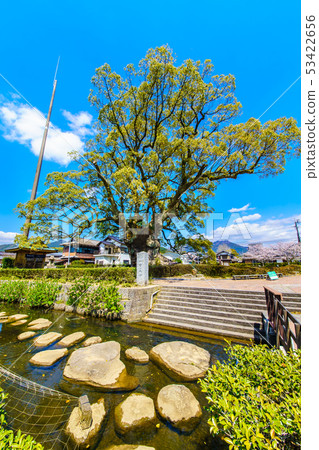 Kawagoi Daigo [Saga Prefecture Takeo City] 53422656