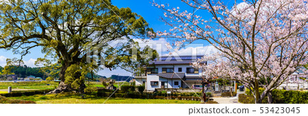 佐賀縣武雄市Kawako Daisuke和櫻花全景 佐賀縣武雄市Kawako Daisuke和櫻花全景 53423045