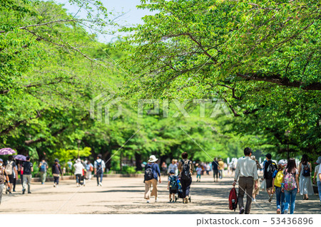 Tokyo Spring Ueno Park 53436896