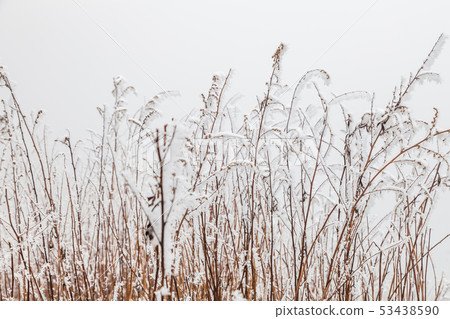 Frozen Winter Landscape in sichuan,China. 53438590