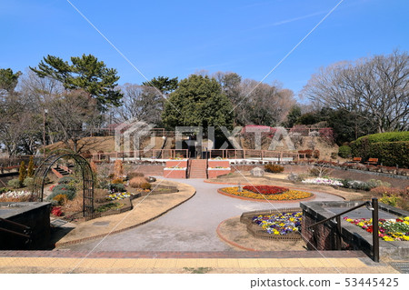 在Tamagawadai公園 53445425
