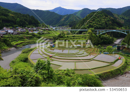 Aragijima的Tanagi [和歌山縣日本排名前100的梯田/ Aritagawa-cho] 53450653