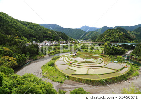 Aragijima的tanagi 和歌山縣日本排名前100的梯田 Aritagawa Cho 照片素材 圖片 圖庫