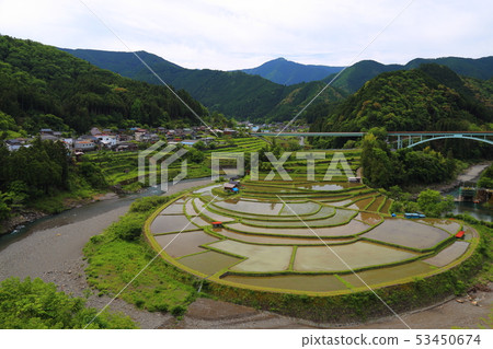 Aragijima的Tanagi [和歌山縣日本排名前100的梯田/ Aritagawa-cho] 53450674