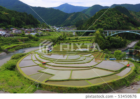 Aragijima的Tanagi [和歌山縣日本排名前100的梯田/ Aritagawa-cho] 53450676