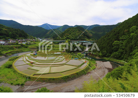 Aragijima的Tanagi [和歌山縣日本排名前100的梯田/ Aritagawa-cho] 53450679