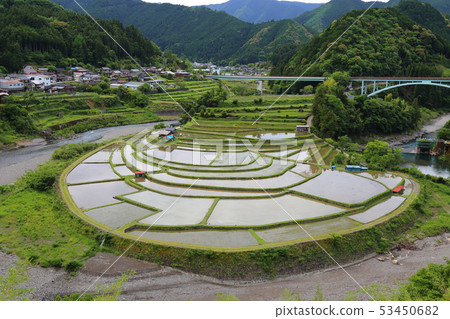 Tanagi of Aragijima [Japan's top 100 terraced rice terraces / Aritagawa-cho, Wakayama Prefecture] 53450682