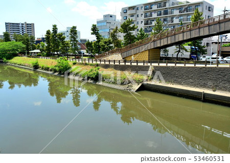 Soka Matsubara 53460531