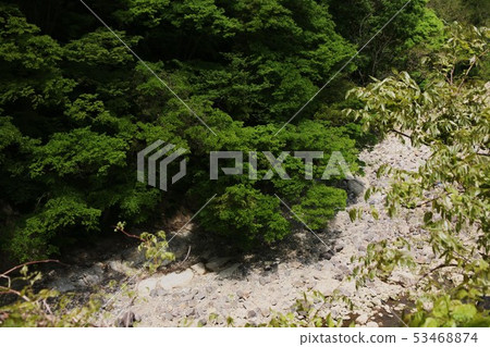 長野市須佐花川 Fresh Green 53468874