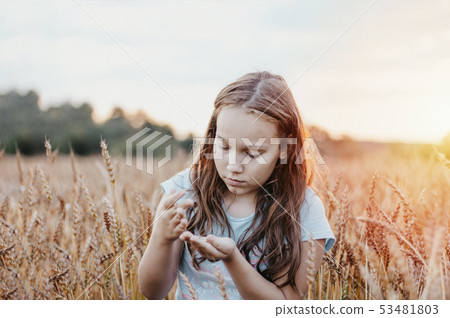 Beautiful tween girl with long hair on field Beautiful tween girl with long hair on field 53481803