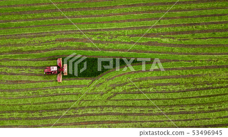 tractor mows the grass on a green field aerial 53496945