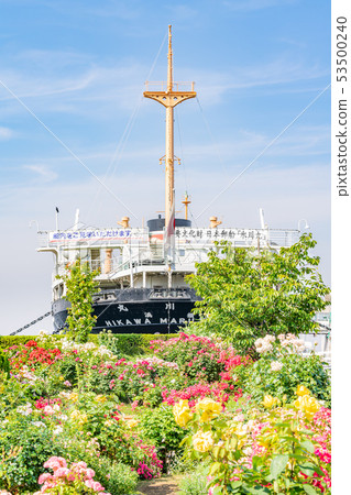 神奈川縣橫濱山下公園未來玫瑰園 53500240