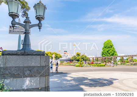 神奈川縣橫濱山下公園未來玫瑰園 53500293
