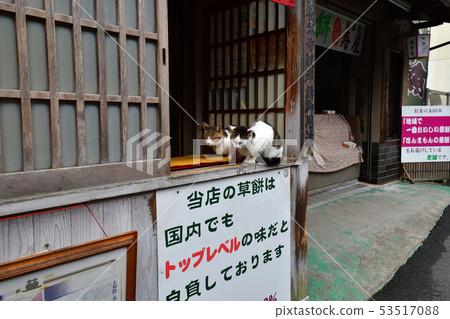 From Haseji Temple 53517088