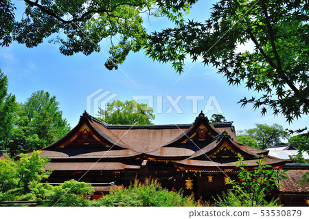 Kyoto Kitano Tenmangu Aomoriji 53530879