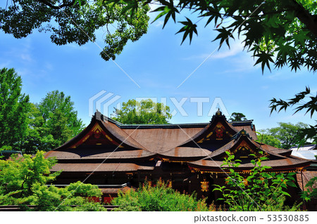 京都北野Tenmangu Aomoriji 京都北野Tenmangu Aomoriji 53530885