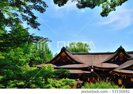 京都北野Tenmangu Aomoriji 京都北野Tenmangu Aomoriji 53530892