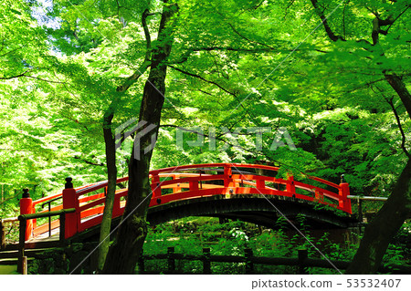 京都北野Tenmangu Aomoriji 京都北野Tenmangu Aomoriji 53532407